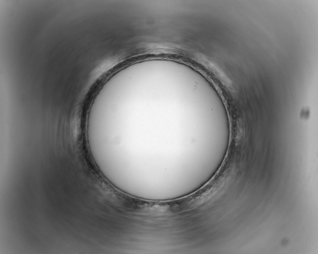 X0000102361261200808151805