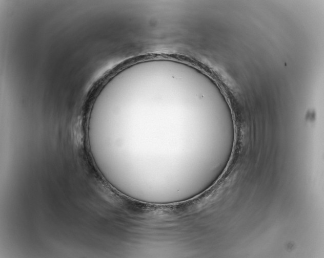 X0000102361262200808151805