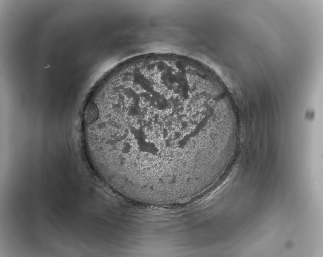 X0000102361263200808151805