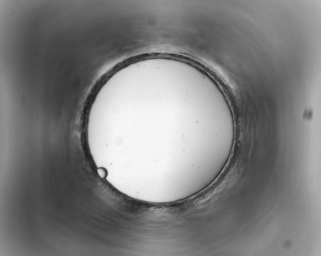 X0000102361264200808151805