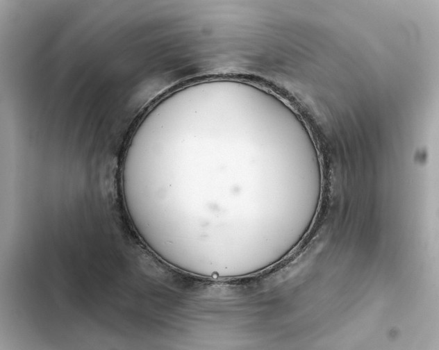 X0000102361265200808151805