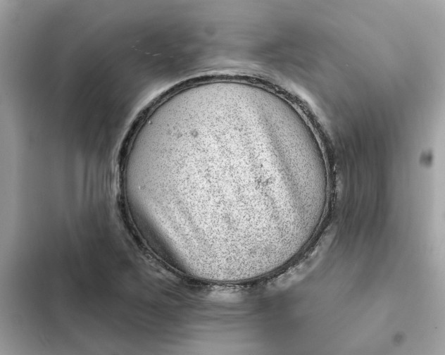 X0000102361267200808151805