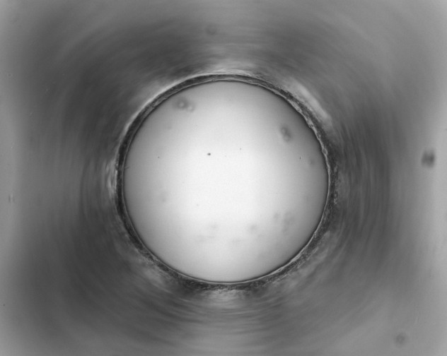 X0000102361268200808151805