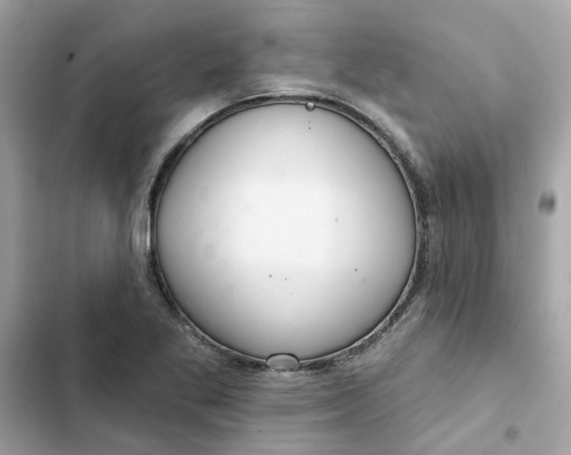 X0000102361269200808151805