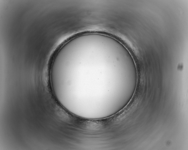 X0000102361270200808151805