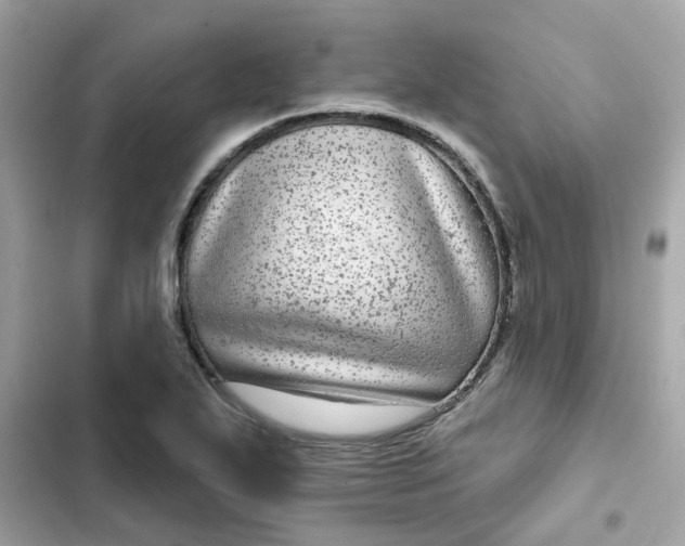 X0000102361271200808151805