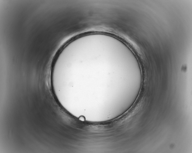 X0000102361272200808151805