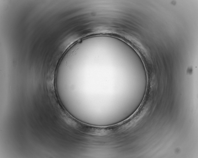 X0000102361273200808151805