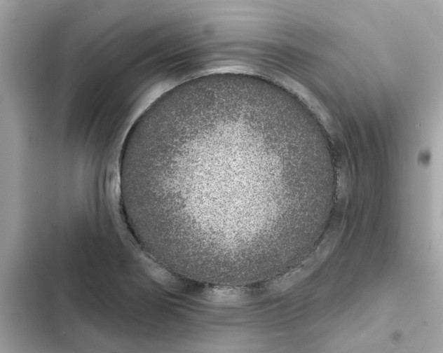 X0000102361274200808151805