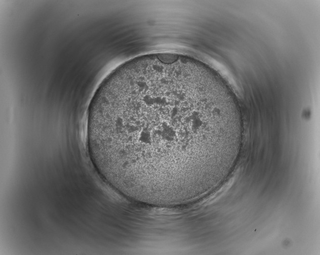 X0000102361275200808151805