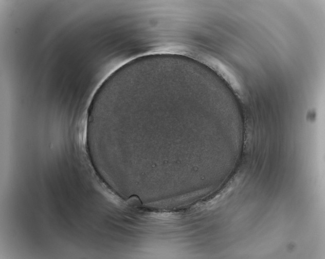 X0000102361276200808151805