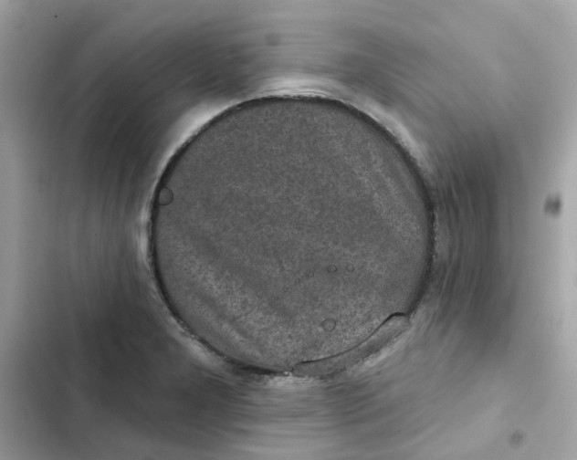 X0000102361277200808151805