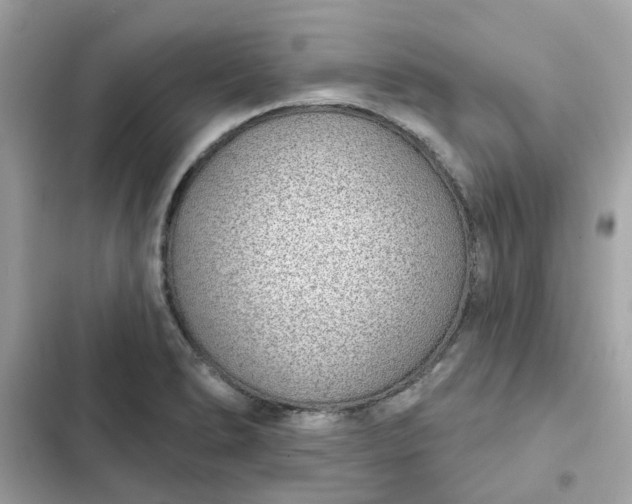 X0000102361278200808151805