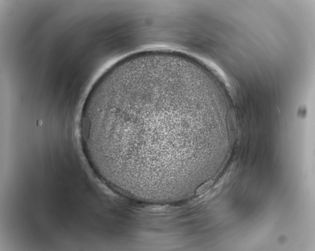 X0000102361279200808151805