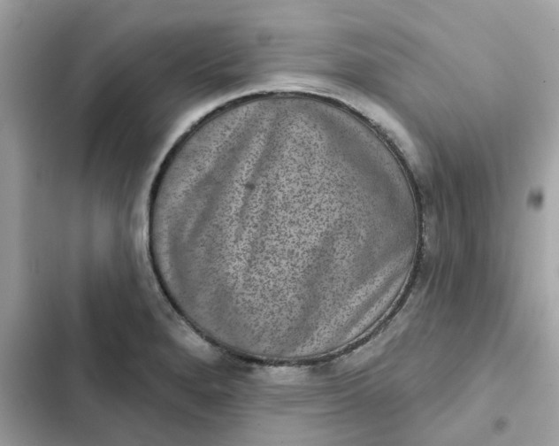 X0000102361280200808151805