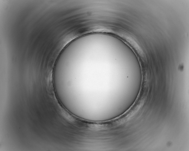 X0000102361281200808151805