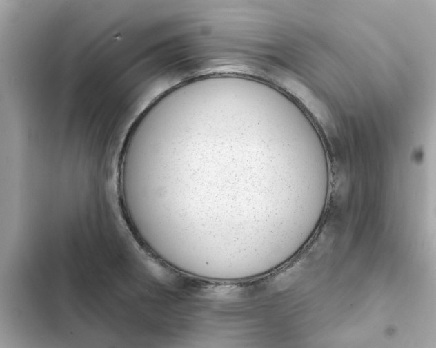 X0000102361282200808151805