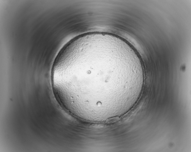 X0000102361283200808151805