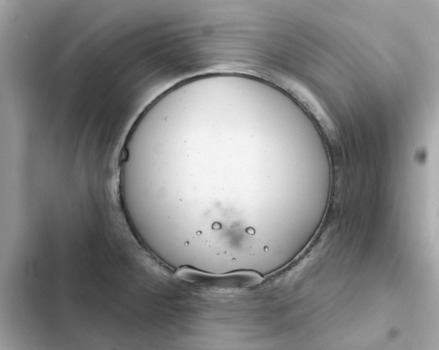 X0000102361284200808151805