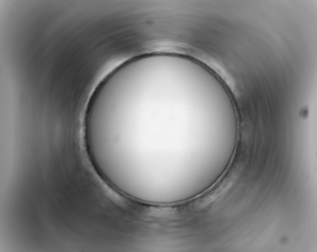 X0000102361285200808151805