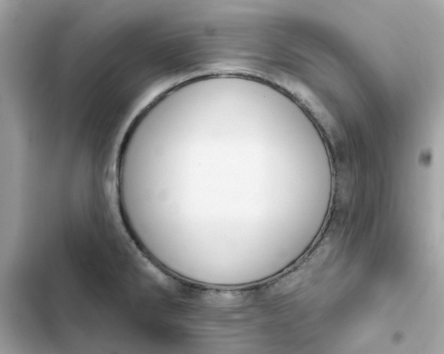 X0000102361286200808151805