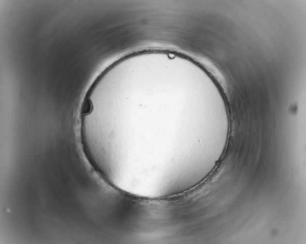 X0000102361287200808151805