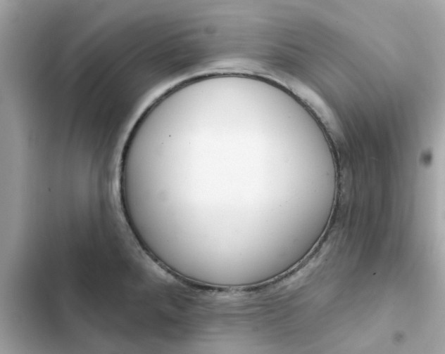 X0000102361288200808151805