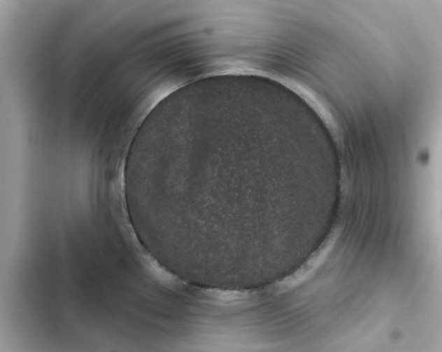 X0000102361289200808151805