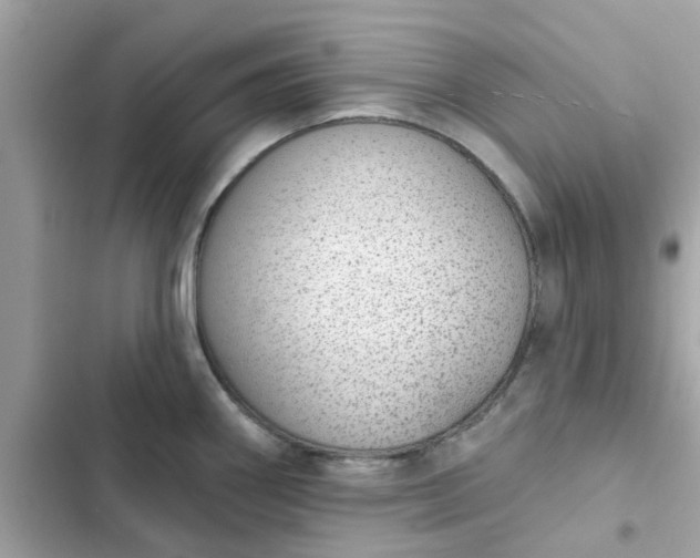 X0000102361290200808151805