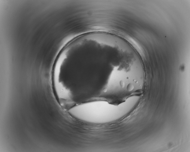 X0000102361291200808151805