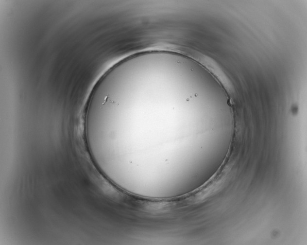 X0000102361292200808151805