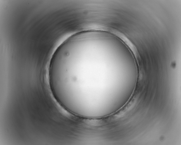 X0000102361293200808151805