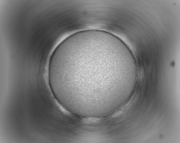 X0000102361294200808151805