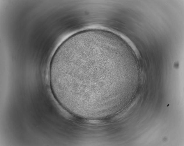 X0000102361295200808151805