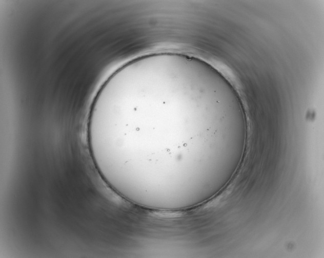 X0000102361296200808151805