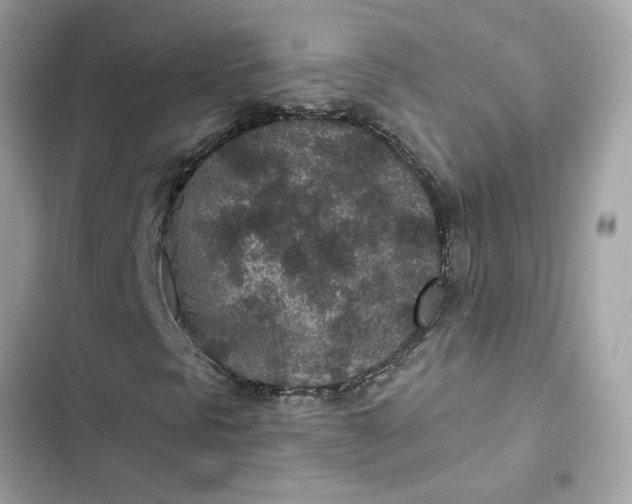 X0000102361297200808151804