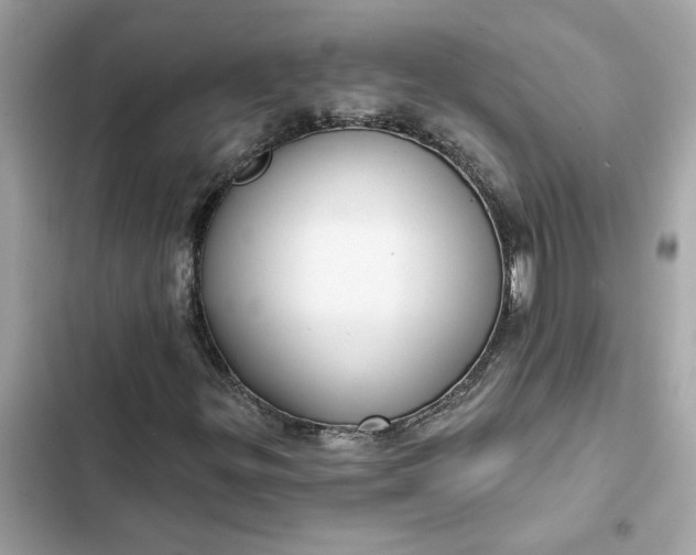 X0000102361299200808151804