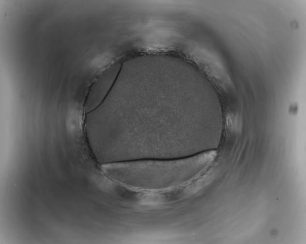 X0000102361300200808151804