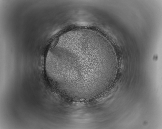 X0000102361301200808151804