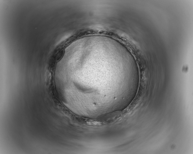 X0000102361302200808151804