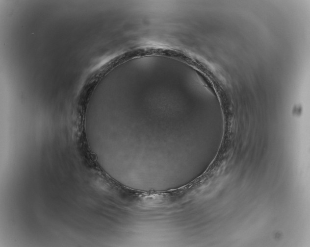 X0000102361303200808151804