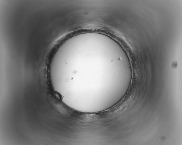 X0000102361304200808151804