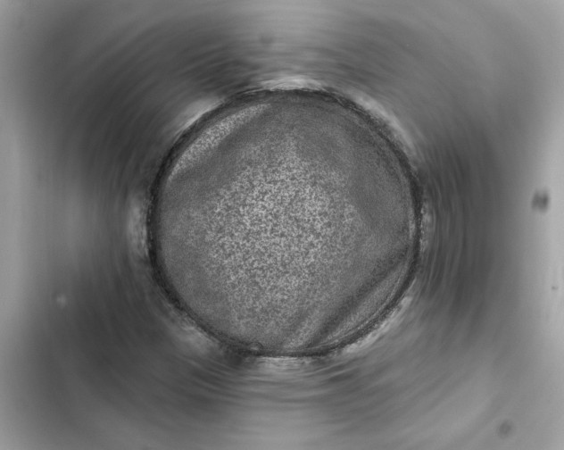 X0000102361305200808151804