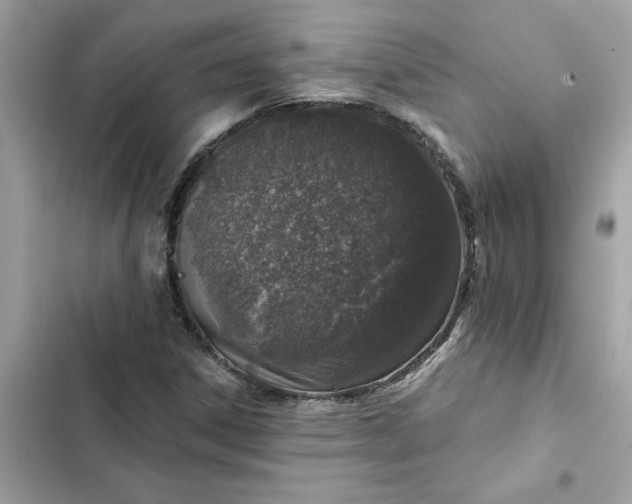 X0000102361306200808151804