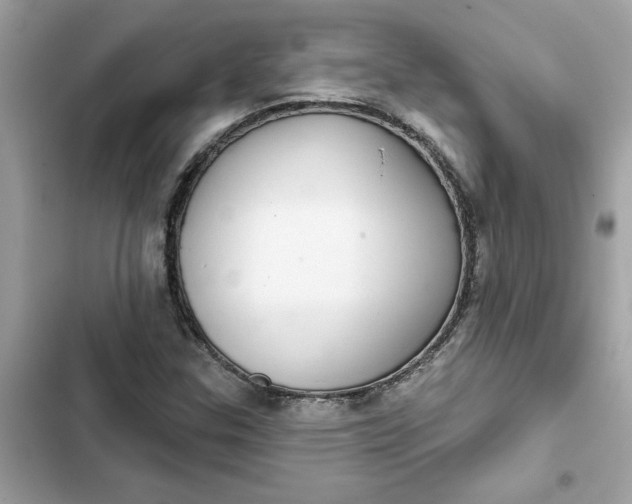 X0000102361307200808151804