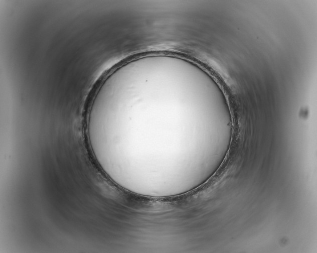 X0000102361308200808151804