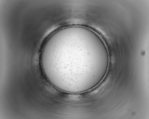 X0000102361309200808151804