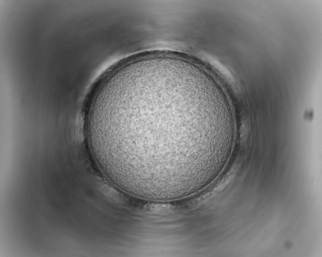 X0000102361310200808151804