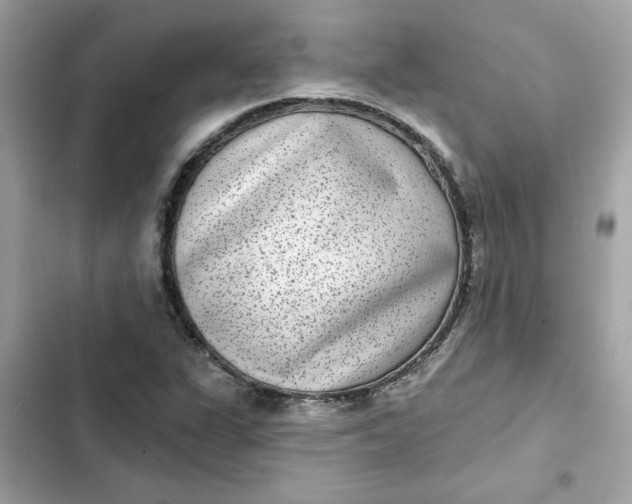 X0000102361311200808151804