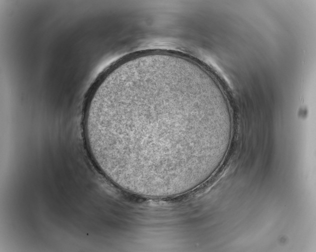 X0000102361312200808151804